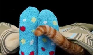 为什么有的女生喜欢穿袜子睡觉 穿袜子睡觉好吗